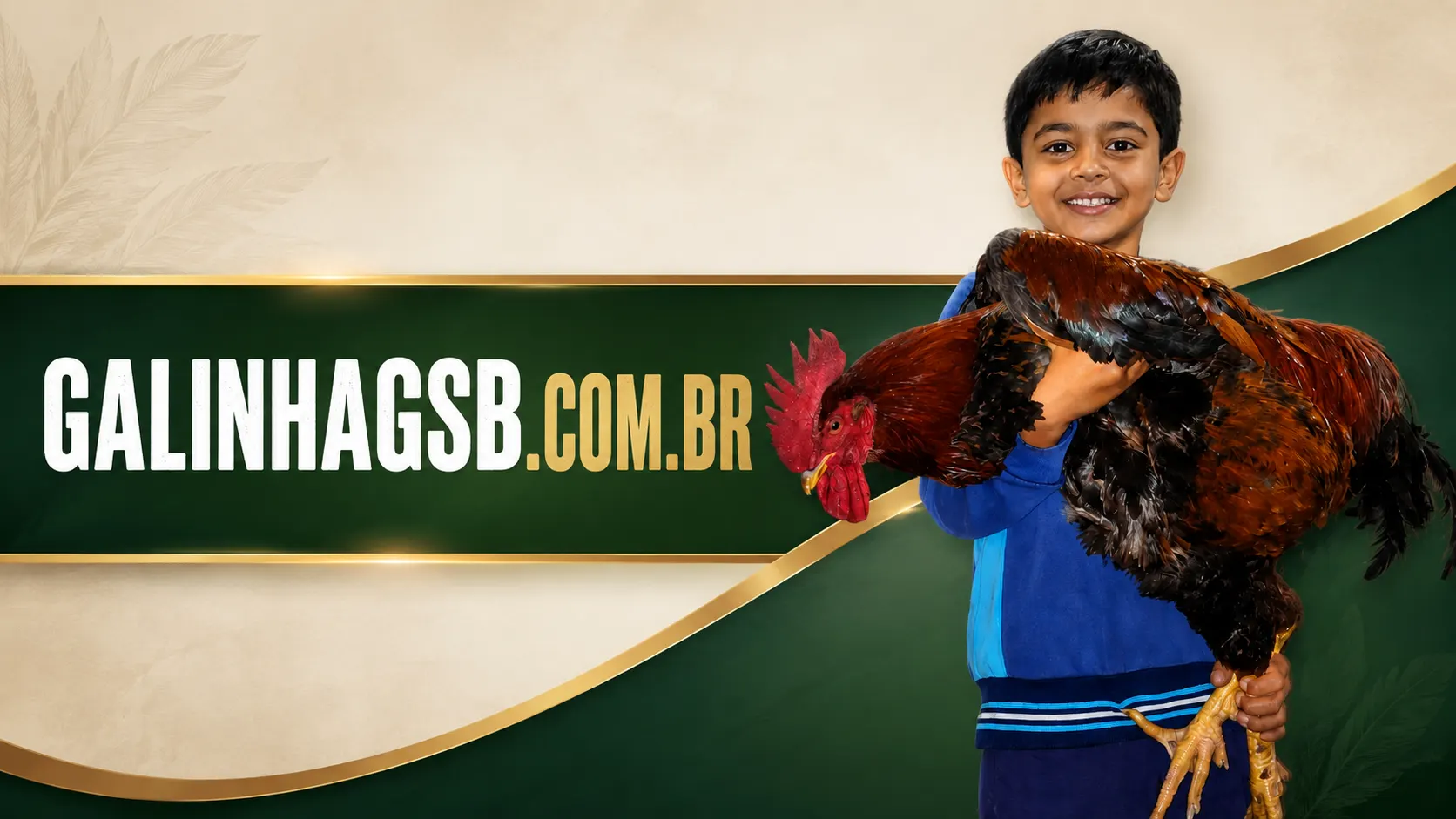 GALINHA GSB OFICIAL